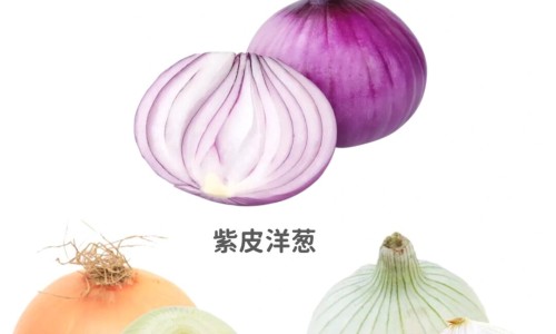 洋葱的营养价值及功效有哪些