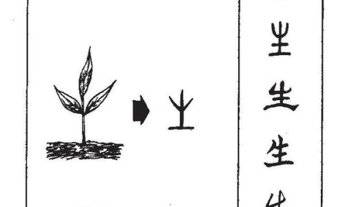 生姜甘草大麦茶-大麦干姜茶的功效网- 生姜甘草大麦茶知识,分享大麦和生姜一起煮水喝吗