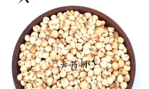 大麦干姜茶的功效网- 生姜甘草大麦茶知识,分享大麦和生姜一起煮水喝吗